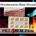 Wundersame Böse Wurzel new13